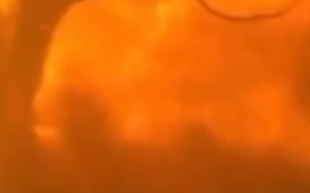 wildfires Hawaï 2023