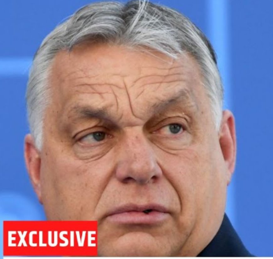 POLITIEKE AARDBEVING IN DE EUROPESE UNIE!!!