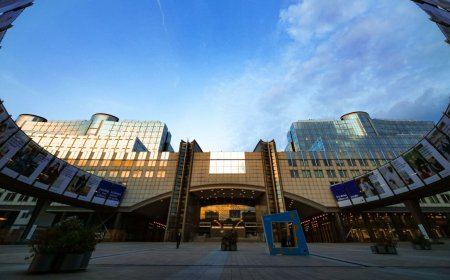 Schok in Brussel: EU-Parlement wijst chattoezicht af en steunt deportatiecentra