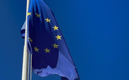 Boosheid en verontwaardiging over Brusselse begrotingsplannen: ‘Dit is compleet gestoord’