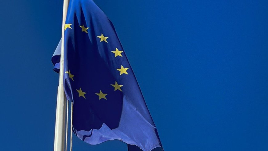 Boosheid en verontwaardiging over Brusselse begrotingsplannen: ‘Dit is compleet gestoord’