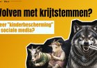 Sociale media "Kinderbescherming": Von der Leyen wil algoritmen, bereik en toegang controleren