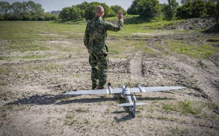 Militarisering van het groengebied bij Wassenaar: wat de overheid verzwijgt